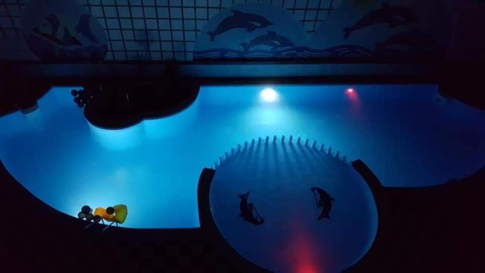 Apartman Eva Hurghada Extérieur photo